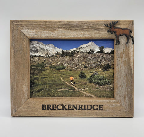 4X6 Breckenridge Moose