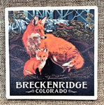 Fox Coaster